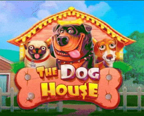 play the dog house in casoola casino